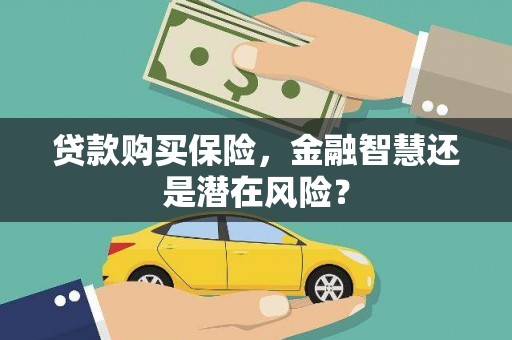 锦州贷款购买保险，金融智慧还是潜在风险？