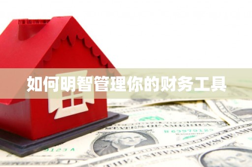 锦州如何明智管理你的财务工具