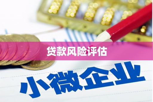 锦州贷款风险评估