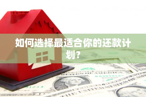 锦州如何选择最适合你的还款计划？