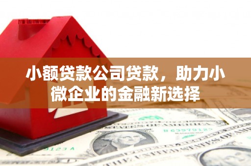 锦州小额贷款公司贷款，助力小微企业的金融新选择