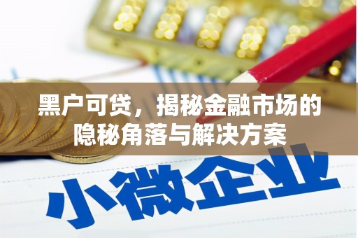 锦州黑户可贷，揭秘金融市场的隐秘角落与解决方案