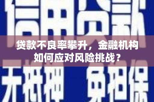 锦州贷款不良率攀升，金融机构如何应对风险挑战？