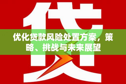 锦州优化贷款风险处置方案，策略、挑战与未来展望