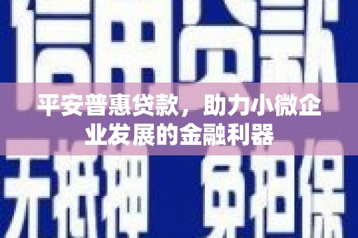 锦州平安普惠贷款，助力小微企业发展的金融利器