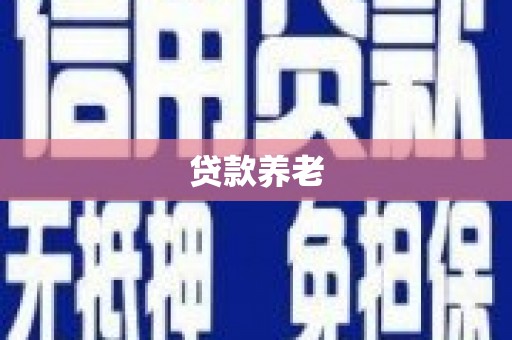 锦州贷款养老