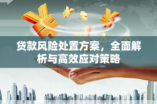 锦州贷款风险处置方案，全面解析与高效应对策略
