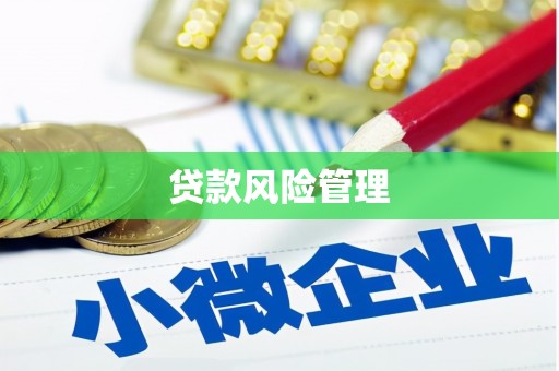 锦州贷款风险管理