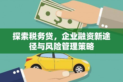 锦州探索税务贷，企业融资新途径与风险管理策略