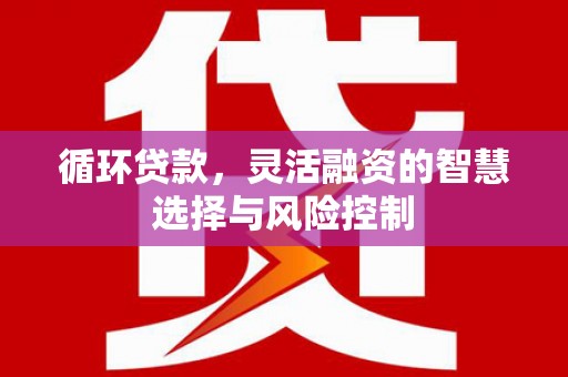 锦州循环贷款，灵活融资的智慧选择与风险控制