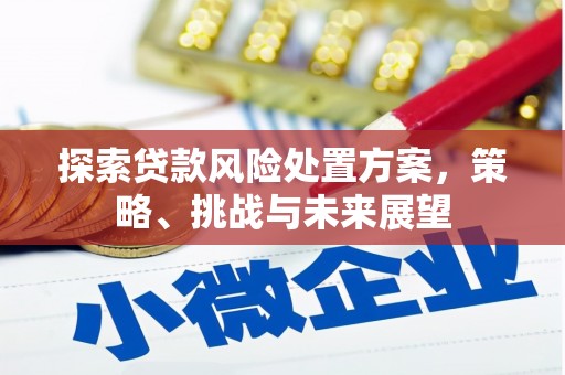 锦州探索贷款风险处置方案，策略、挑战与未来展望