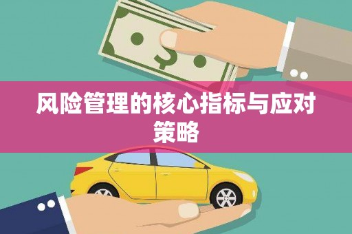 锦州风险管理的核心指标与应对策略