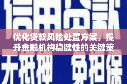 锦州优化贷款风险处置方案，提升金融机构稳健性的关键策略