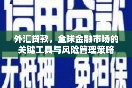 锦州外汇贷款，全球金融市场的关键工具与风险管理策略