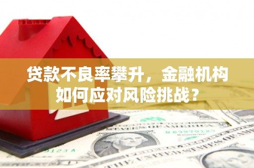 锦州贷款不良率攀升，金融机构如何应对风险挑战？