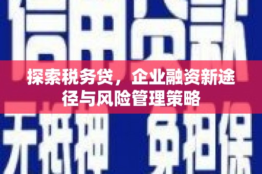 锦州探索税务贷，企业融资新途径与风险管理策略