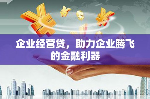 锦州企业经营贷，助力企业腾飞的金融利器