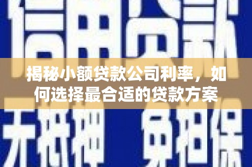 锦州揭秘小额贷款公司利率，如何选择最合适的贷款方案