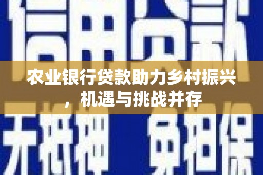 锦州农业银行贷款助力乡村振兴，机遇与挑战并存