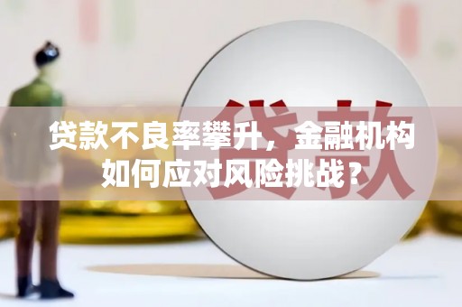 锦州贷款不良率攀升，金融机构如何应对风险挑战？