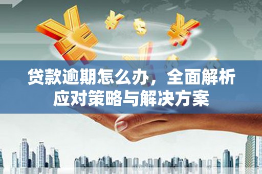 锦州贷款逾期怎么办，全面解析应对策略与解决方案