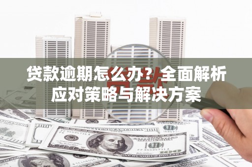 锦州贷款逾期怎么办？全面解析应对策略与解决方案