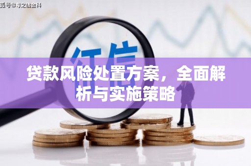 锦州贷款风险处置方案，全面解析与实施策略