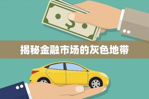 锦州揭秘金融市场的灰色地带