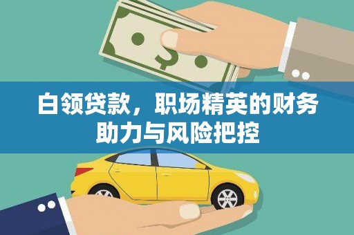 锦州白领贷款，职场精英的财务助力与风险把控